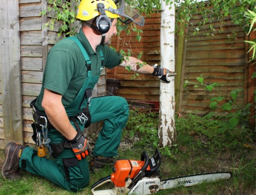 Tree Surgeons provides clients with a range of professional tree removal at https://goodfellers.ie/tree-surgery/
Find us on : https://goo.gl/maps/rwTpdt4D9eB2
Many home owners decide to take matters into their own hands when they see a problem with a tree on their premises. Too often, they will mistakenly think that a tree is diseased and dying and decide to cut it down. Tree Surgeons specialists are very familiar with all types of trees and bushes and they know exactly what types of diseases your trees are susceptible to. Quite often a tree that appears to be dying may only have an insect problem or it may even be going through a natural stage of growth and development.
My Social :
http://treesurgeondublin.strikingly.com/
https://www.twitch.tv/treesurgeondublin
https://rumble.com/user/treesurgeondublin/
https://archive.org/details/@treesurgeondublin

Goodfellers Tree Care & Property Maintenance

19 kilbreena Crescent, Dunboyne, Co. Meath, Ireland, A86 VN22
Call Us : +353 85 828 1017
Email: info@goodfellers.ie
Open 24 Hours

Deals In....
Tree Surgeon
Tree Surgeon Dublin
Tree Surgeons
Tree Surgery
Tree Surgery Dublin