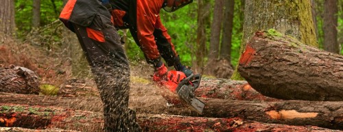 Tree Surgeon Dublin Will Attend To All Your Tree Care Needs at https://goodfellers.ie/tree-surgery/
Find us on : https://goo.gl/maps/rwTpdt4D9eB2
If you have many trees on your property it is very important to look after them to ensure that they grow and thrive for decades to come. Sometimes however, you will need the help of professionals when you encounter a problem. Tree Surgeon Dublin are widely available and you could benefit major ways by employing the service of these professionals.
My Social :
https://www.pinterest.com/treesurgeondublin/
https://mastodon.social/@treesurgeondublin
https://treesurgeondublin.netboard.me/
https://padlet.com/treesurgeondublin

Goodfellers Tree Care & Property Maintenance

19 kilbreena Crescent, Dunboyne, Co. Meath, Ireland, A86 VN22
Call Us : +353 85 828 1017
Email: info@goodfellers.ie
Open 24 Hours

Deals In....
Tree Surgeon
Tree Surgeon Dublin
Tree Surgeons
Tree Surgery
Tree Surgery Dublin