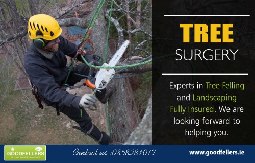 A tree surgeon is a person whose job is to take care of trees at https://goodfellers.ie/tree-surgery/

Deals In : 

Tree Surgeon Dublin
Tree Surgery Dublin
Tree Surgeons
Tree Surgeon
Tree Surgery

A tree surgeon cares for and maintains individual trees, unlike a forester who manages forests. He knows how to cut and trim trees and shrubs in parks and yards. A forester, on the other hand, knows about the art and science of managing forests. Foresters are involved in harvesting timber, restoring the ecology in a given place, and maintaining protected areas. Foresters also manage forests for conservation, hunting, and artistic projects. Some new management practices include biodiversity, carbon sequestration, and air quality.

Address: Dunboyne

Call: 0858281017

Email: info@goodfellers.ie

social links:

https://twitter.com/treesurgeondubl
https://www.facebook.com/Tree-surgeon-dublin-1648355195242733/
https://plus.google.com/117969722688667928025
https://mastodon.social/@treesurgeondublin