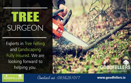 Tree surgery Dublin services for cutting and removal of all sorts of trees at https://goodfellers.ie/tree-surgery/

Deals In : 

Tree Surgeon Dublin
Tree Surgery Dublin
Tree Surgeons
Tree Surgeon
Tree Surgery

Those considering a profession in tree surgery, should at the very least, love the outdoors, be in good physical condition, and have a keen interest in the conservation and care of trees. Tree surgery in Dublin is required in poor weather conditions and expected to travel long distances, so a commitment to the trade is essential.


Address: Dunboyne

Call: 0858281017

Email: info@goodfellers.ie

social links:

https://treesurgeondublin.netboard.me/
https://padlet.com/treesurgeondublin
https://followus.com/treesurgeondublin
https://kinja.com/treesurgeondublin