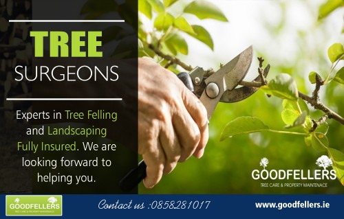Tree surgeons are leaders in tree surgery and tree removals at https://goodfellers.ie/tree-surgery/

Deals In :

Tree Surgeon Dublin
Tree Surgery Dublin
Tree Surgeons
Tree Surgeon
Tree Surgery
 
To become a tree surgeons a combination of academic and professional training is required. If you've ever been tempted to study subjects such as chainsaw use and maintenance; tree climbing and aerial rescue; mobile elevated work platform (cherry picker); wood chippers; or small tree felling, then perhaps a career in tree surgery is for you. Tree surgery companies will expect you to have done some apprenticeships as hands-on experience is always the most valuable.


Address: Dunboyne

Call: 0858281017

Email: info@goodfellers.ie

social links:

https://treesurgeondublin.contently.com/
https://en.gravatar.com/treesurgeondublin
http://treesurgeondublin.strikingly.com/
https://www.reddit.com/user/treesurgeondublin/
https://profiles.wordpress.org/treesurgeondublin