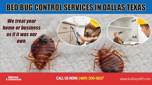 Bed Bug Control Services in Dallas Texas