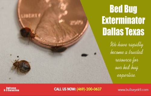 Bed Bug Exterminator Dallas Texas