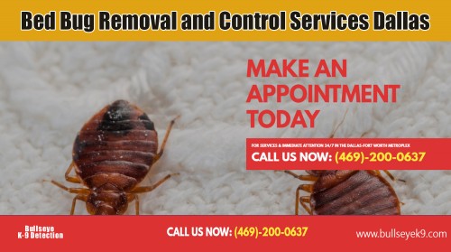 Bed bug removal and control services dallas