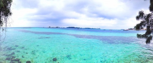 Pulau Semak Daun
