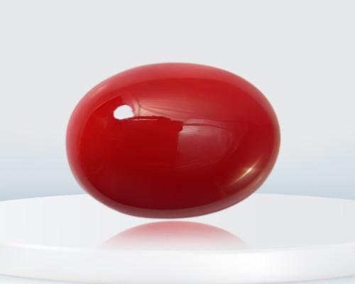 Red Coral gemstone is also known as Praval or Moonga helps to enhance self-confidence in your life, improves mental health, and soothes Manglik Dosha.
Visit:https://bejandaruwalla.com/collections/gemstones/products/red-coral-enhance-self-confidence