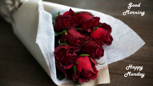 Bouquet dark red roses drops water Desktop Wallpaper HD 915x515