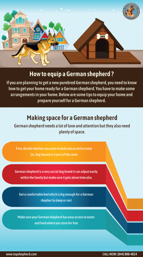 Here are some tips to equip your home and prepare yourself for a German shepherd. Visit us now to know more about to equip a German shepherd. Visit us https://topshepherd.com/blog/how-to-equip-a-german-shepherd-/