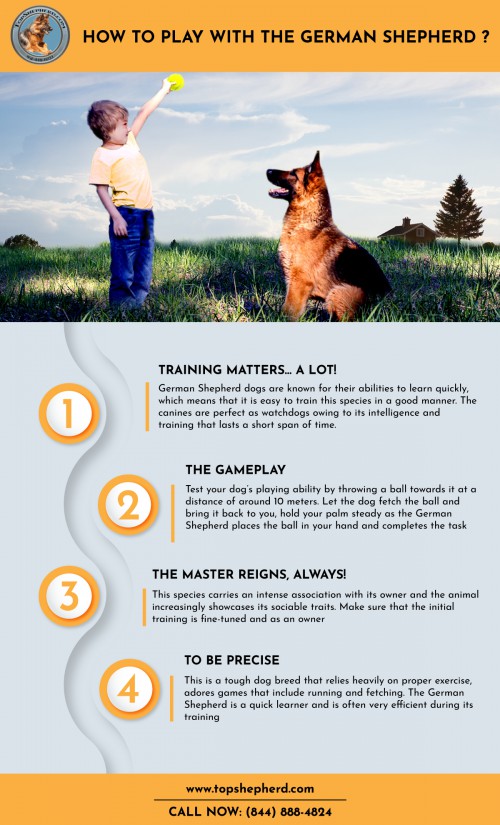 Find out here how to play with the German shepherd Dog and if you are looking to buy german shepherd Dog and Puppies then Contact Topshepherd Kennel. Call us now (844) 888-4824 or visit us https://topshepherd.com/blog/how-to-play-with-the-german-shepherd-/