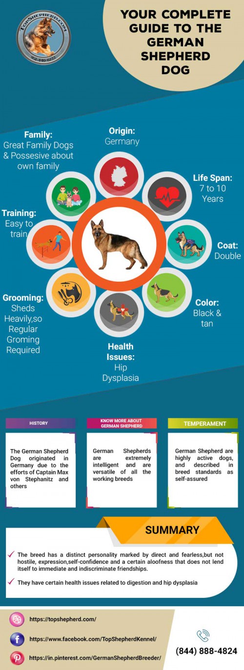 Find out here Your Complete Guide to the German Shepherd Dog and visit us to buy topshepherd.com