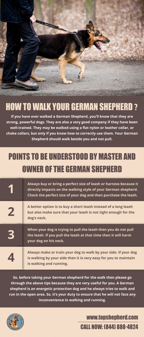 So, before taking your German shepherd for the walk then please go through the tips because they are very useful for you. A German shepherd is an energetic protection dog and he always tries to walk and run in the open area. So, it’s your duty to ensure that he will not face any inconvenience in walking and running. Visit us to know more https://topshepherd.com/blog/how-to-walk-your-german-shepherd-/