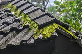 Roofcleaningmiami knows that you've decided that protecting your roof from developing problems like mold, moss or other concerns is very important to you? You've scouted out some roof cleaning companies in your area but you're not exactly sure who to go with. Well, this decision is actually very important because choosing a bad roof cleaner could have a very negative outcome. The roof on your home is incredibly important. It provides shelter to your family, it protects you from the harsh weather conditions outside and it provides a sense of comfort to our family. If something bad were to happen to your roof such as developing a leak or another type of problem, you would undoubtedly feel the pain and be very upset. This is why it's very important that you take roof cleaning seriously and hire professional roof cleaning companies in Miami that not only cares about your roof but cares about their image, brand and professionalism. Many roof cleaning companies use a lot of water and chemicals to help clean your roof. Some of these chemicals that they use are only to be used on certain types of roofs. For instance, there are many different types of roofing materials. Some of these materials include asphalt, metal, wood shingles and many other types of materials as well. If the roof cleaning company does not know what type of chemical they should use for the material on your roof, they could significantly damage your roof and cause serious decay if they were to use the wrong type of cleaning material. Believe it or not, this has actually happened to many homeowners. 

For more info:-https://www.roofcleaningmiami.net/soft-wash-roof-cleaning-miami/