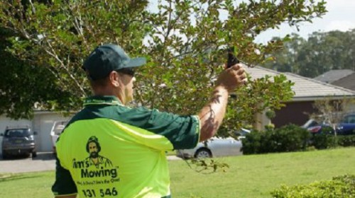Contact one of the best teams of garden experts for lawn mowing Hoppers Crossing services and solutions; we are Jim’s Mowing and we are here to deliver the best lawn mowing Hoppers Crossing services at affordable rates. More info here:- https://www.jimsmowingmelbournewest.com.au/location/hoppers-crossing/lawn-mowing-hoppers-crossing/