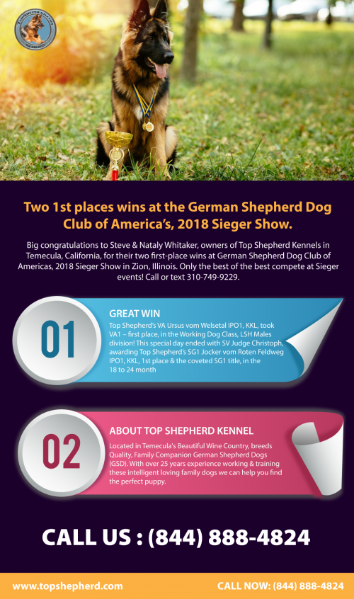 Two 1st places wins at the German Shepherd Dog Club of America’s, 2018 Sieger Show. To know more https://topshepherd.com/blog/two-1st-places-wins-at-the-german-shepherd-dog-club-of-americas-2018-sieger-show/