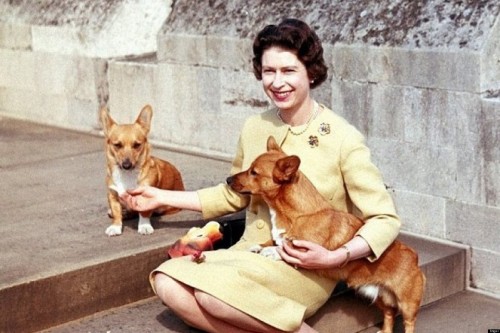 Ratu elizabeth bersama anjing peliharaannya