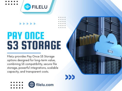 Over time, these recurring costs can become a noticeable part of personal or business budgets. That explains why many people consider Pay once S3 storage an attractive alternative when looking for greater cost predictability.

Official Website: https://filelu.com/s3-compatible-storage/