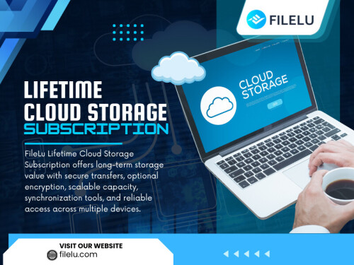 Before committing to a provider, take a closer look at what is included with the plan. Storage capacity, upload limits, sharing features, file retention, account access, and available support can all influence the overall experience.
A Lifetime Cloud Storage Subscription should be evaluated based on what you actually receive rather than the word “lifetime” alone.

Official Website: https://filelu.com/premium/