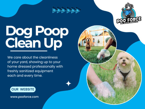 After the initial cleanup, the process becomes much simpler. Ongoing Dog Poop Clean Up visits are usually quicker because the yard is maintained regularly instead of being allowed to build up again.

‍Find Us On Google Map: https://g.page/r/CZ4XeMgPsBDxEBE

Address: 888 Granada Ave N, Oakdale, MN 55128, United States
Phone: +16512430851

Read Our Blogs -
https://pooforceservice.blogspot.com/
https://pooforceservice.wordpress.com/
https://pooforceoakdale.weebly.com/

More Links -
https://www.pinterest.com/pooforce/
https://tap.bio/@pooforce​
https://myslink.app/pooforce​