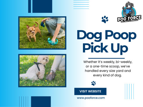 At some point, most dog owners hit the same wall. The yard looks fine one day, then suddenly it doesn’t. A few missed cleanups turn into a regular mess, and that’s usually when the search begins for a Dog Poop Pick Up Near Me service that actually makes life easier instead of adding more hassle.

‍Find Us On Google Map: https://g.page/r/CZ4XeMgPsBDxEBE

Address: 888 Granada Ave N, Oakdale, MN 55128, United States
Phone: +16512430851

Read Our Blogs -
https://pooforceoakdale.weebly.com/
https://all4webs.com/pooforce/
https://pooforceservice.blogspot.com/

More Links -
https://allmyfaves.com/pooforce​
https://about.me/pooforce
https://www.pinterest.com/pooforce/