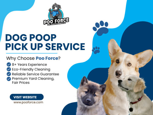 The tricky part is that everything still looks “fine” on the surface. Grass grows, the yard looks normal, but the contamination keeps sitting underneath. That is often where problems begin without warning. A routine Dog Poop Pick Up Service helps stop this buildup before it becomes something larger.

Find Us On Google Map: https://g.page/r/CZ4XeMgPsBDxEBE

Address: 888 Granada Ave N, Oakdale, MN 55128, United States
Phone: +16512430851

Read Our Blogs -
https://all4webs.com/pooforce/minneapolisdogwastes.htm
https://pooforceoakdale.weebly.com/
https://pooforce.medium.com/

More Links -
https://c8ke.com/pooforce​
https://www.magcloud.com/user/pooforce
https://www.mixcloud.com/pooforce/