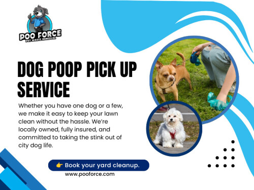 Keeping a yard clean when there are pets around is one of those tasks that always sounds easier than it actually is. A couple of missed cleanups don’t feel like a big deal at first, but over time the buildup becomes noticeable—odor, mess, and a backyard that slowly becomes less usable. That’s usually when people start looking into a regular Dog Poop Pick Up Service, especially in cities with changing weather like Minneapolis.

Find Us On Google Map: https://g.page/r/CZ4XeMgPsBDxEBE

Address: 888 Granada Ave N, Oakdale, MN 55128, United States
Phone: +16512430851

Read our blogs - 
https://pooforceservice.blogspot.com
https://pooforceservice.wordpress.com/
https://pooforce.medium.com/

More Links -
https://linktr.ee/pooforce​
https://www.reddit.com/user/pooforce/
https://disqus.com/by/pooforce/about/