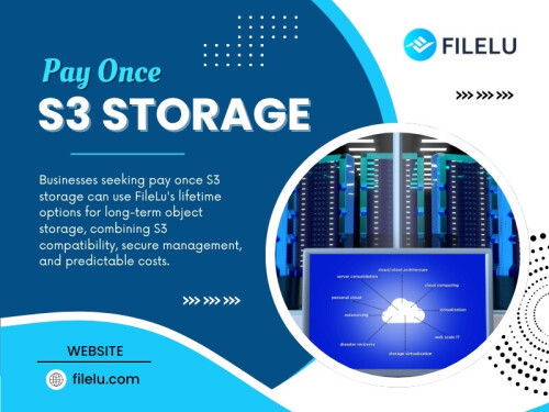 A Pay once S3 storage option can appeal to companies that expect to keep the same storage requirement for a long period. However, businesses should read the conditions carefully before making that decision.

For more information, visit here: https://filelu.com/pages/s5-object-storage/