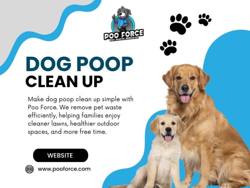 Dog Poop Clean Up