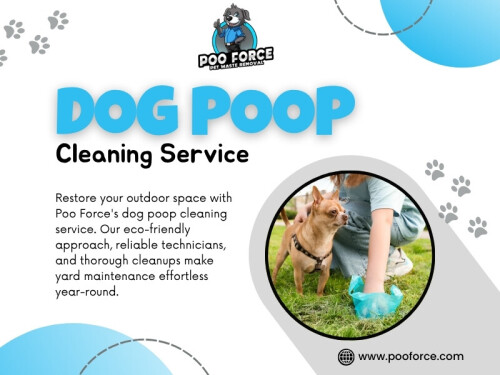 Dog Poop Cleaning Service