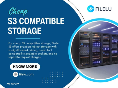 Searching for Cheap S3 compatible storage can be a useful starting point, but price should not become the only deciding factor. An inexpensive service may become less attractive if it lacks the tools needed to manage large archives or makes retrieving files unnecessarily difficult.

For more information, visit here: https://filelu.com/pages/s5-object-storage/

Read Our Blogs:
https://filelucom.weebly.com
https://filelucom.tumblr.com/
https://filelu.wixsite.com/filelu