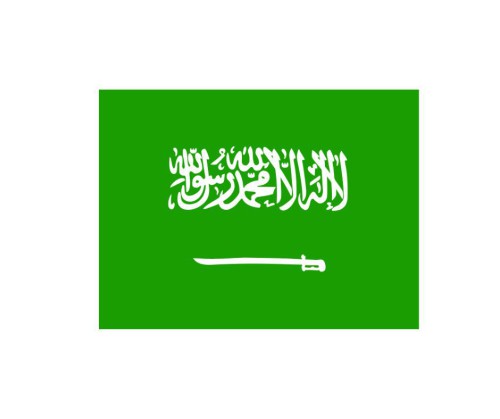 Are you looking for a Saudi visa for a UK citizen? If so, Saudi Visa Online is the place to be. The Saudi visa requirements for British citizens from the United Kingdom can be found here.
 
For more information visit the site: https://www.saudi-visa.org/saudi-visa-for-british-citizens
